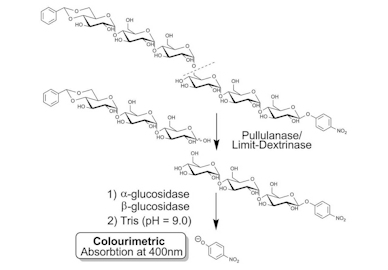 Pullulanase/Limit-Dextrinase Assay Kit (PullG6 Method)